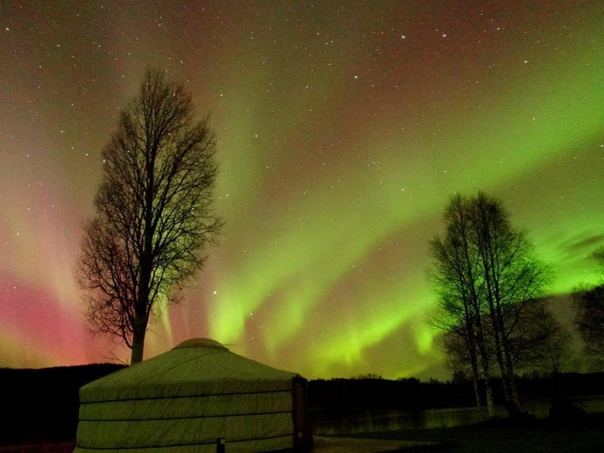 Yurt District
