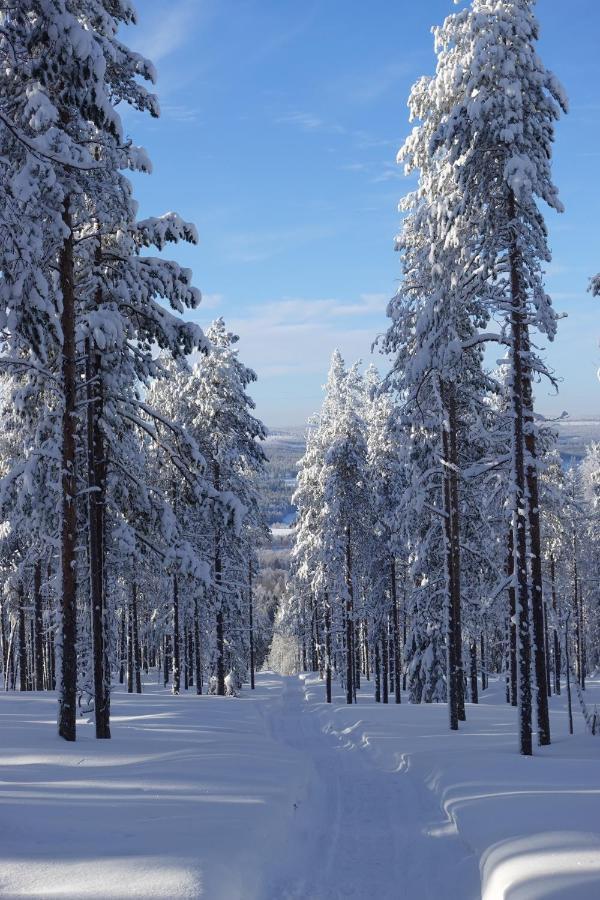 Роскошный шатер Yurt District *